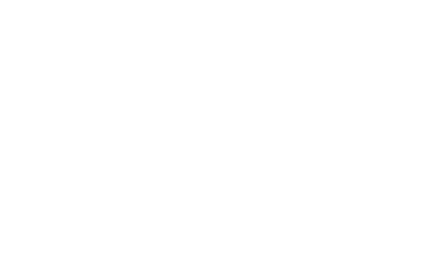 phoenix logo